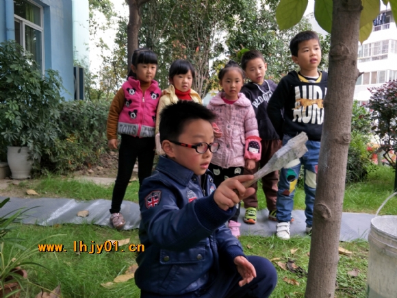 附件：IMG20171124150416.jpg