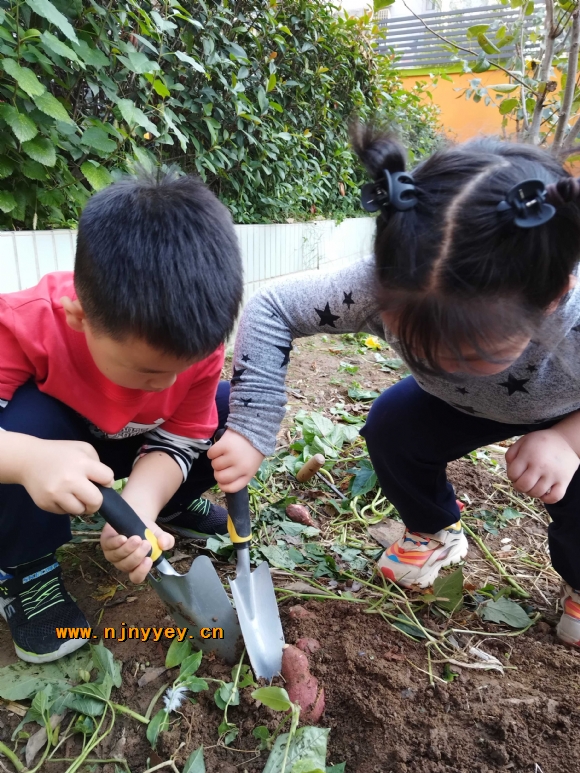 附件：7.jpg