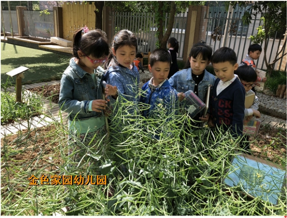 附件：IMG_0994.JPG