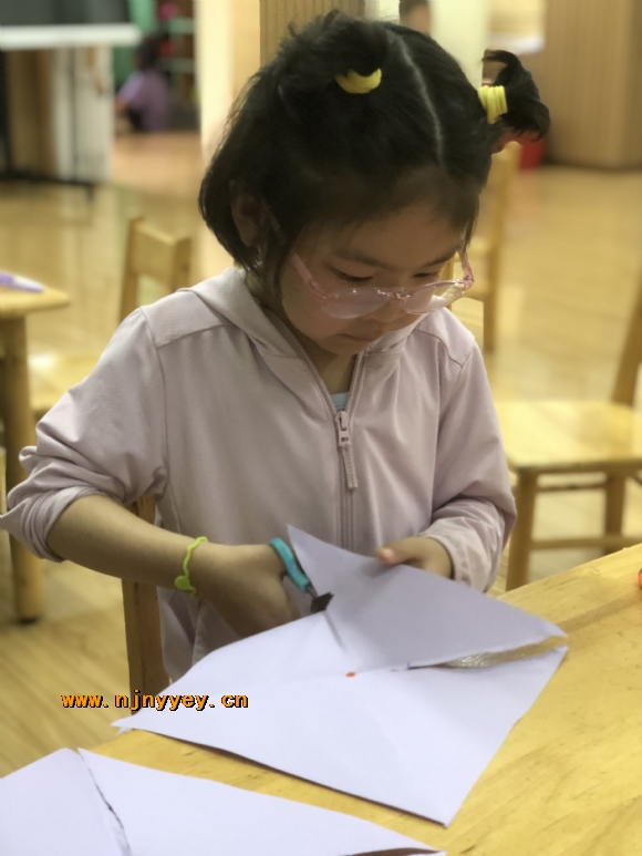 附件：IMG_7781.JPG
