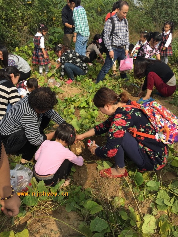 附件：conew_cb22e21e-315b-43a8-a84a-6329457aa03e.jpg