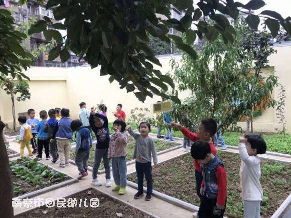 附件：QQ图片20191013195805.jpg