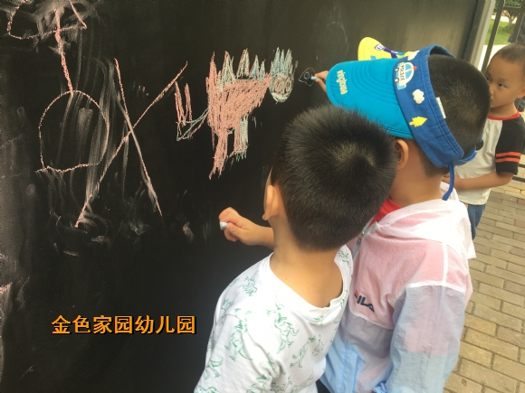 附件：IMG_5317.JPG