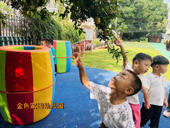 附件：df126d180e9722179e21af51660a92b.jpg
