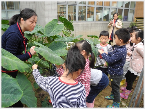 建邺教育信息网