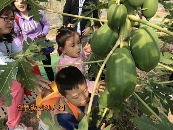 附件：IMG_3173_鍓湰.jpg
