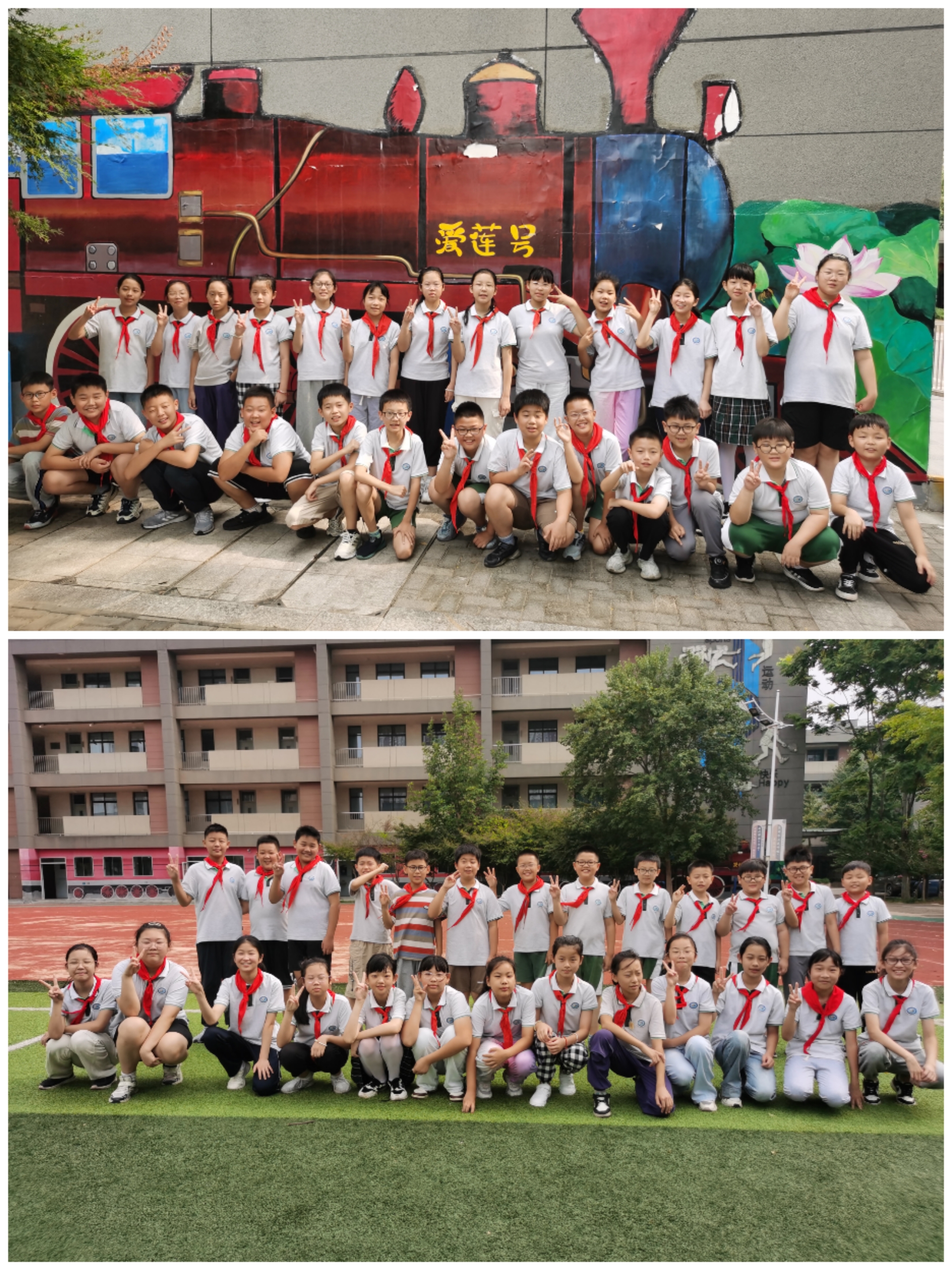 Collage_20241128_080357(1).jpg