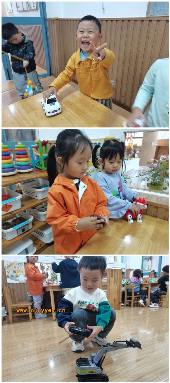 附件：Collage_20231022_205709.jpg