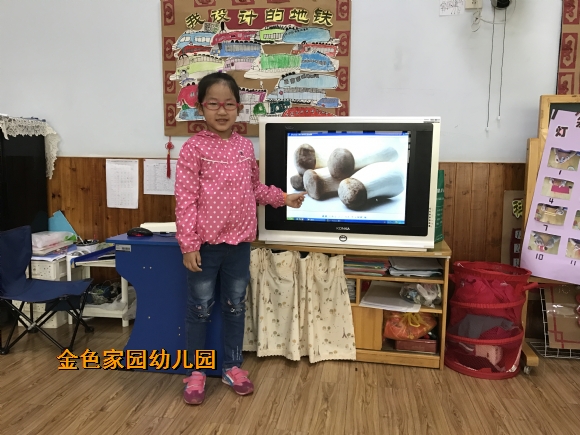 附件：IMG_7153.JPG