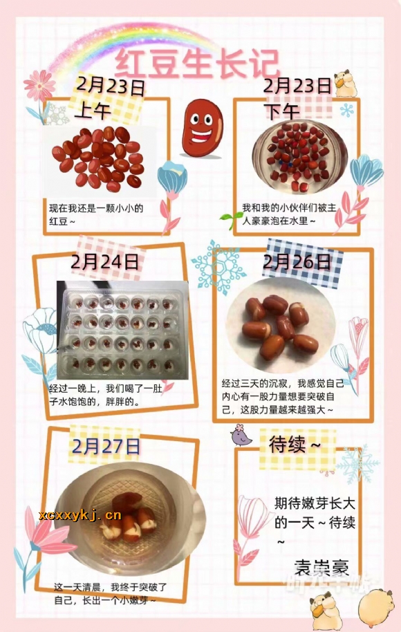 附件：QQ图片20200228205009.jpg