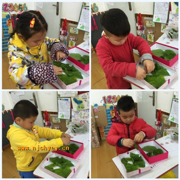 附件：conew_img_2214_conew1.jpg