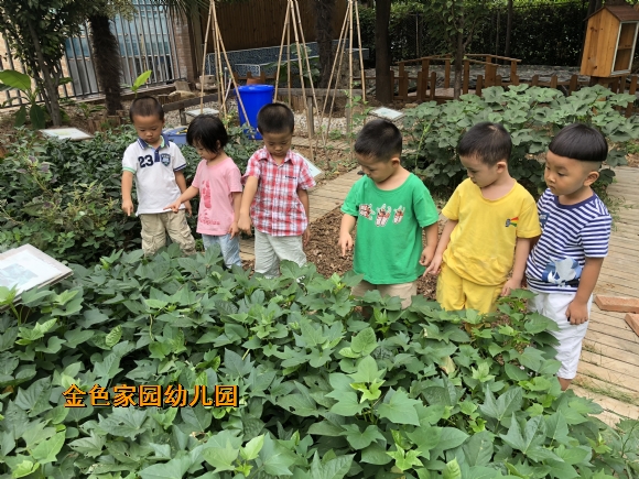 附件：IMG_0267.JPG
