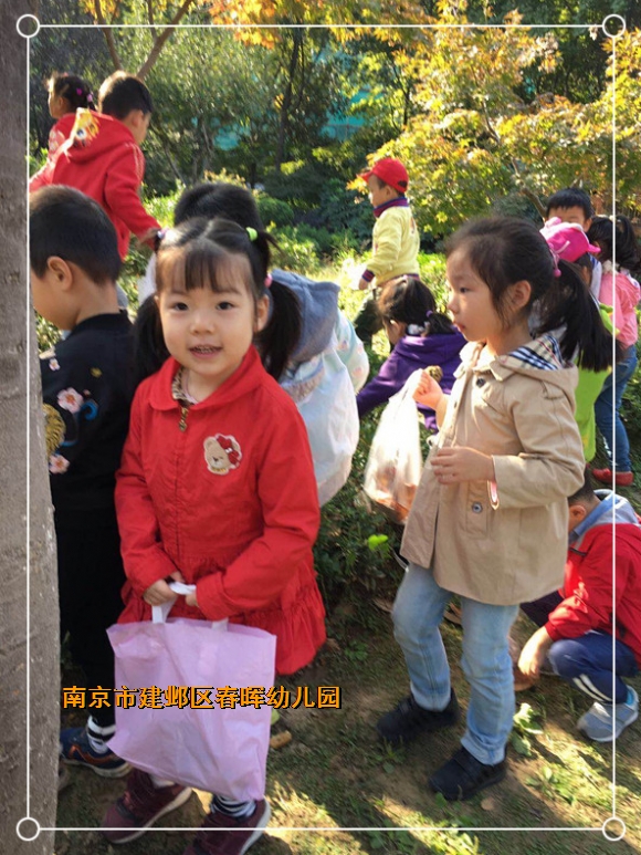 附件：5_副本.jpg