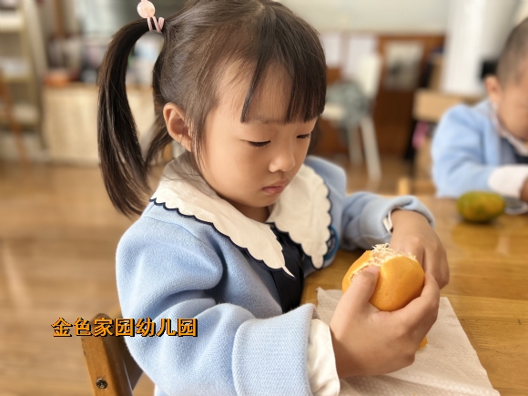 附件：1666836688791.jpg