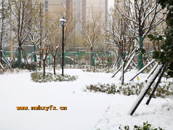 附件：IMG_4313.JPG