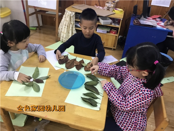附件：IMG_8330.JPG