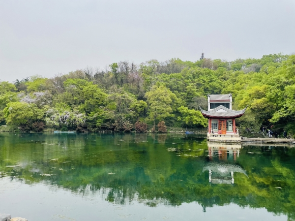 附件：IMG_5586.JPG