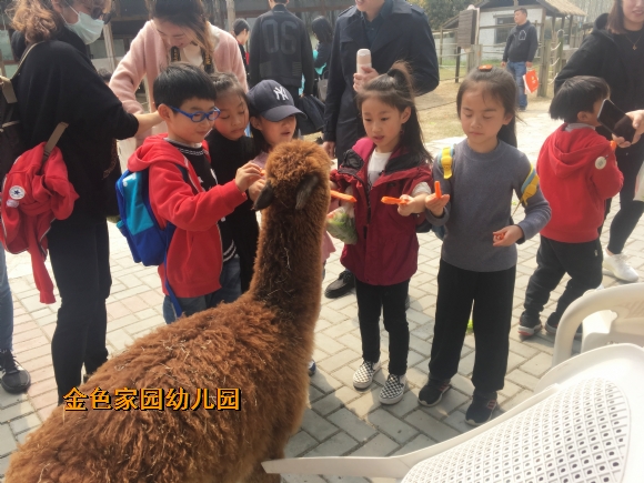 附件：IMG_6340.jpg