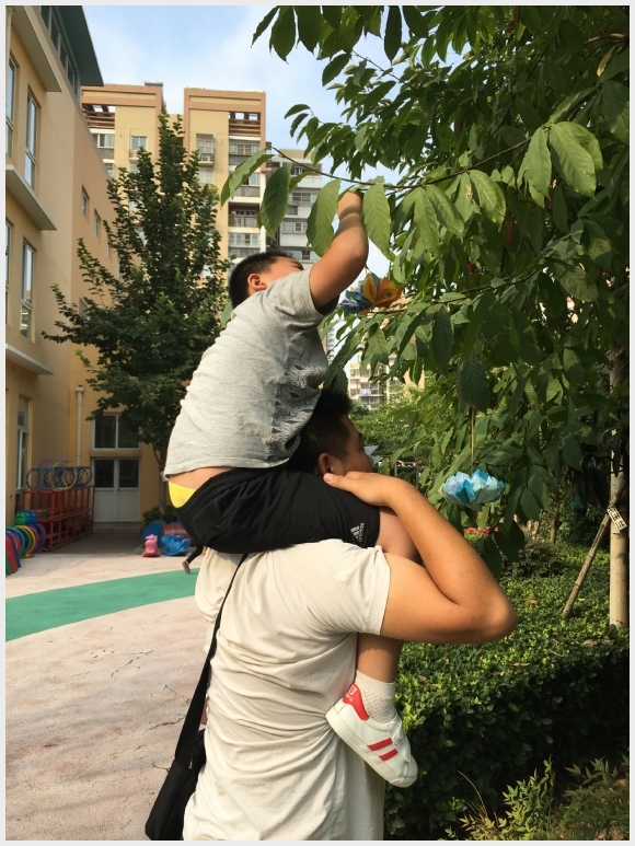 附件：IMG_7145.JPG