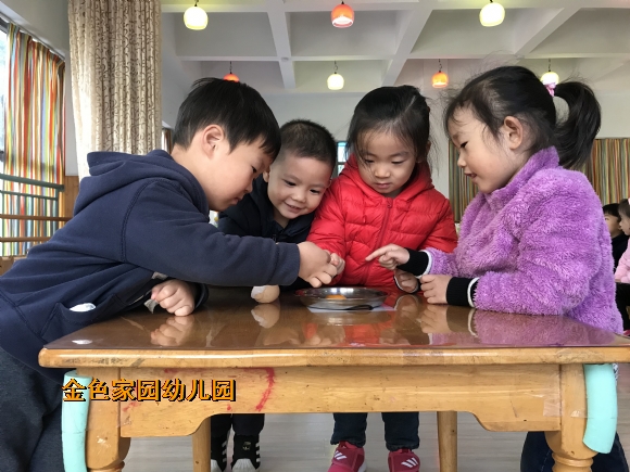 附件：IMG_3852.JPG