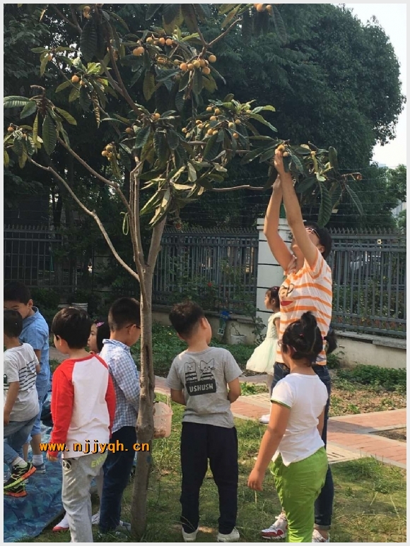 建邺教育信息网