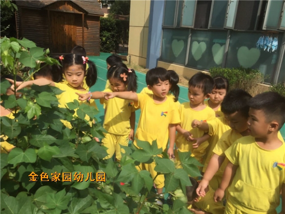 附件：IMG_5713.JPG