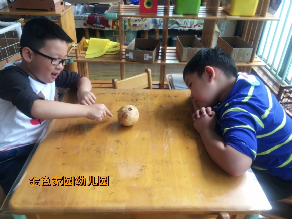 附件：IMG_3988.jpg