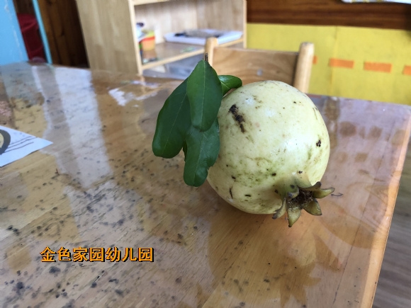 附件：IMG_1300.JPG