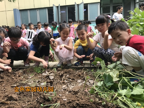 附件：IMG_6003.JPG