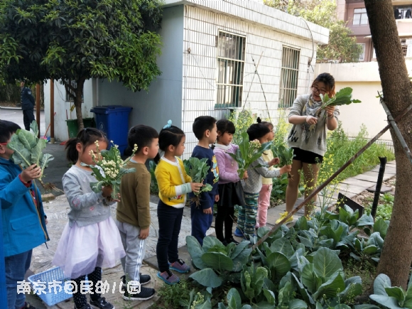 附件：QQ图片20180409161937.jpg