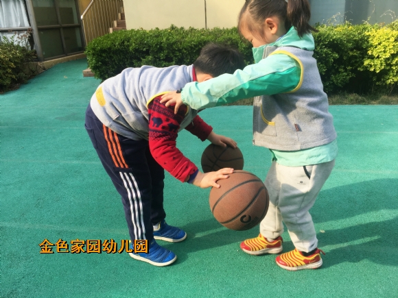 附件：IMG_6230.jpg