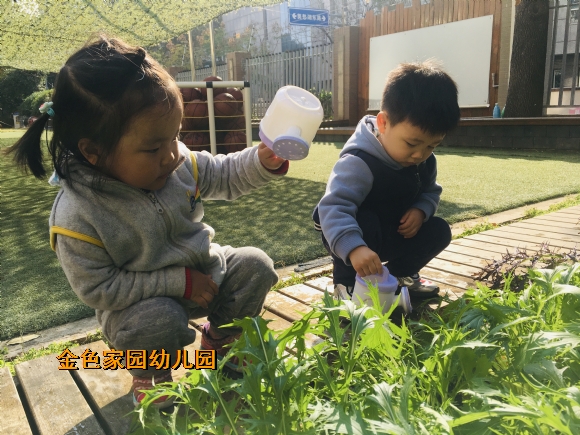 附件：IMG_E3766.JPG
