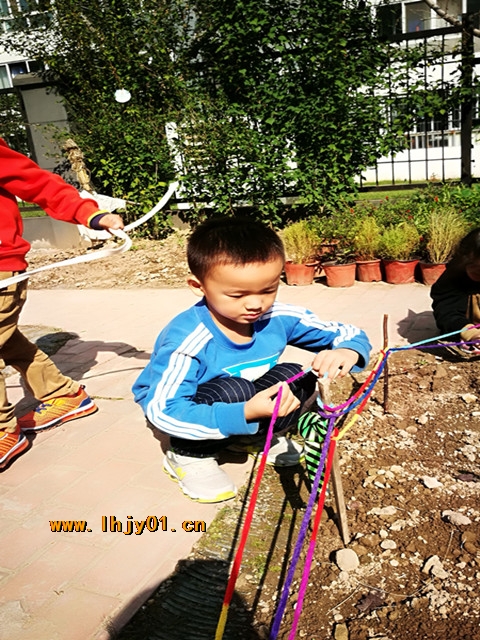 附件：IMG_20171024_102528.jpg
