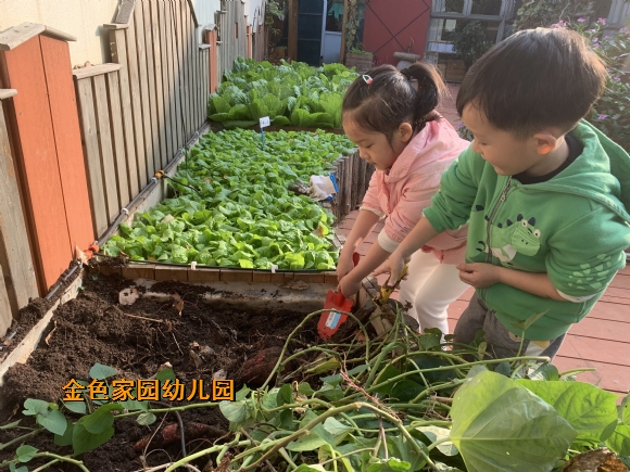 附件：mmexport1668389535367.jpg