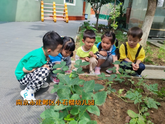附件：QQ图片20230620152937.jpg
