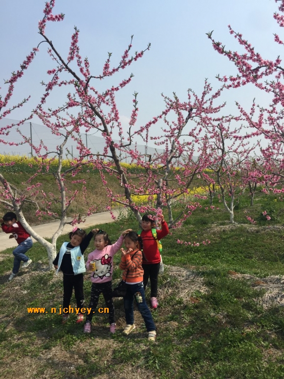 附件：conew_img_0604.jpg