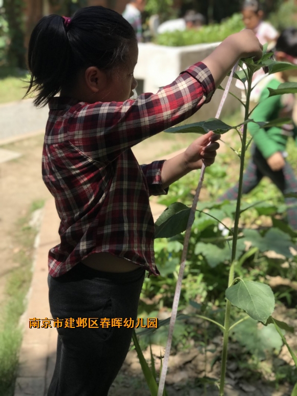 附件：conew_fullsizerender(130).jpg