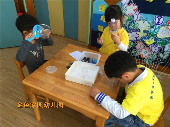 附件：IMG_2223.jpg