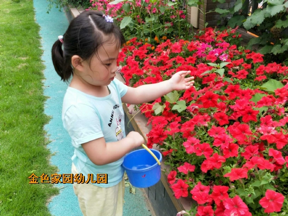 附件：IMG20180605102022.jpg