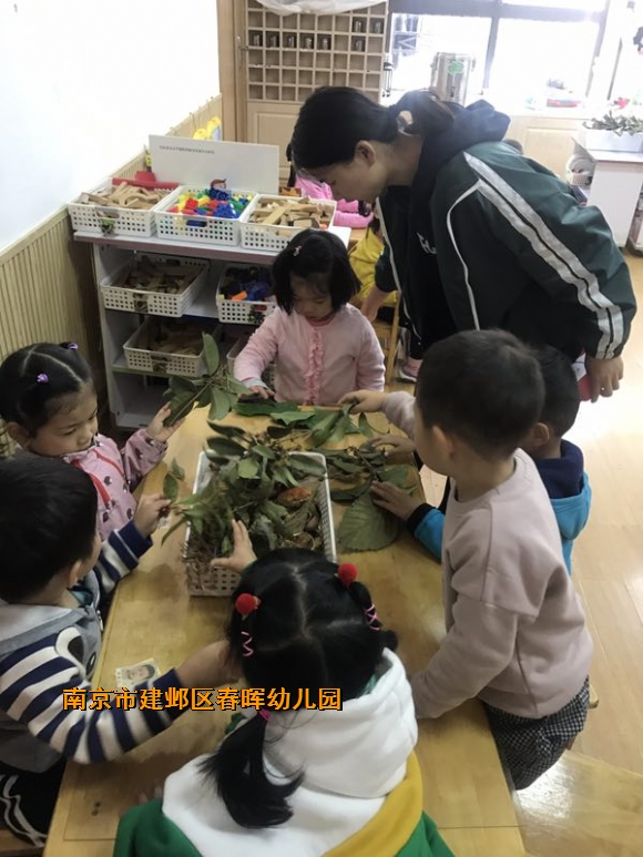 附件：IMG_6147.JPG