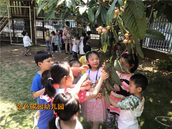 附件:IMG_2367.JPG 附件:IMG_2367.JPG