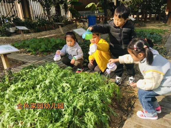 附件：IMG_E3735.JPG