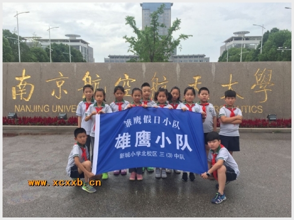 附件：IMG_8251.JPG