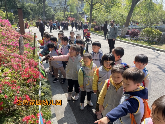 附件：IMG_4393.JPG