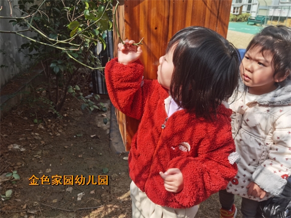 附件：IMG_20220302_112620.jpg