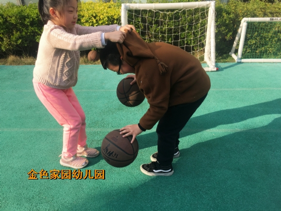 附件：IMG_6239.jpg