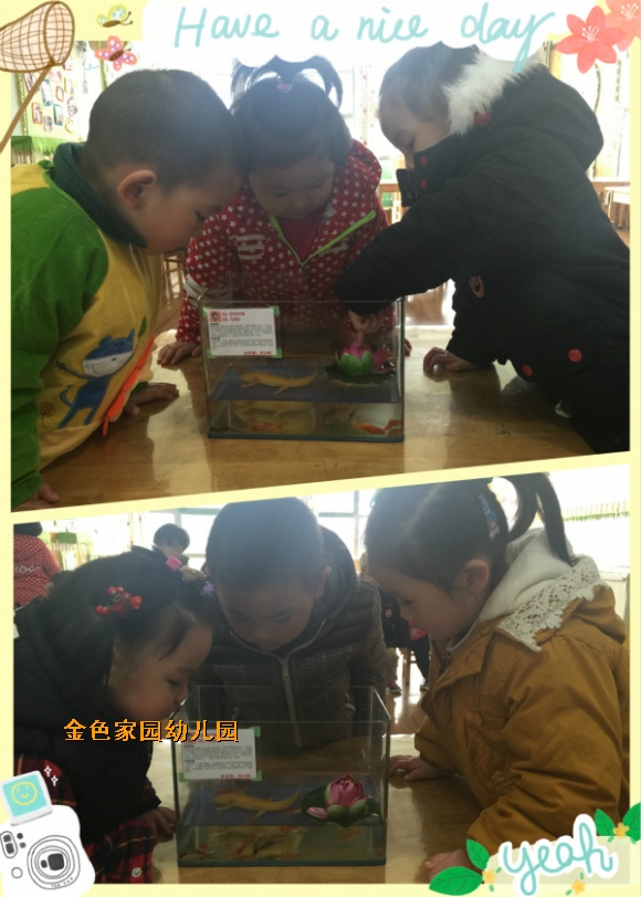 附件：3.jpg