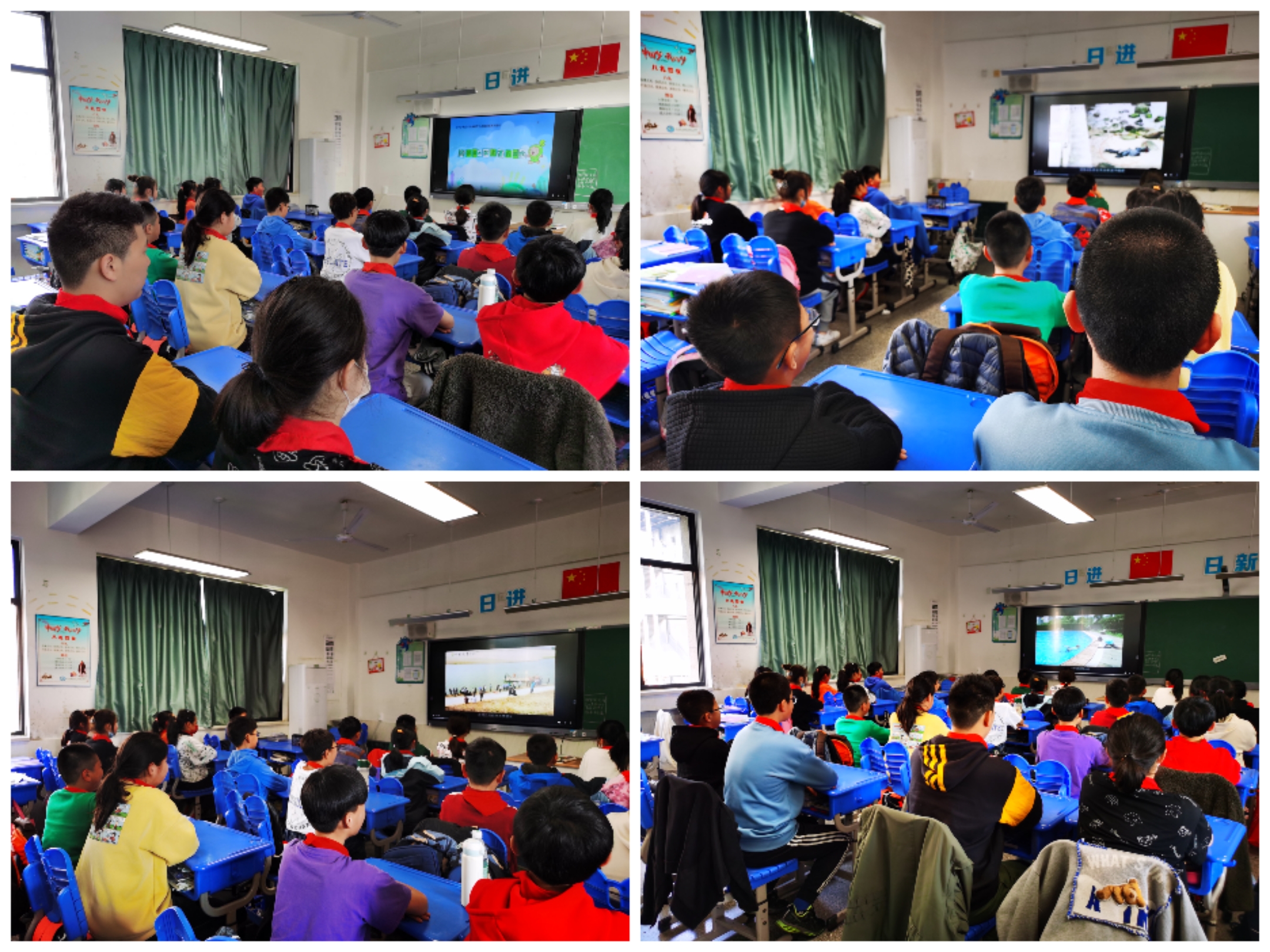 Collage_20220311_113655.jpg