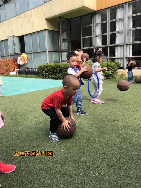 附件：IMG_5916.jpg