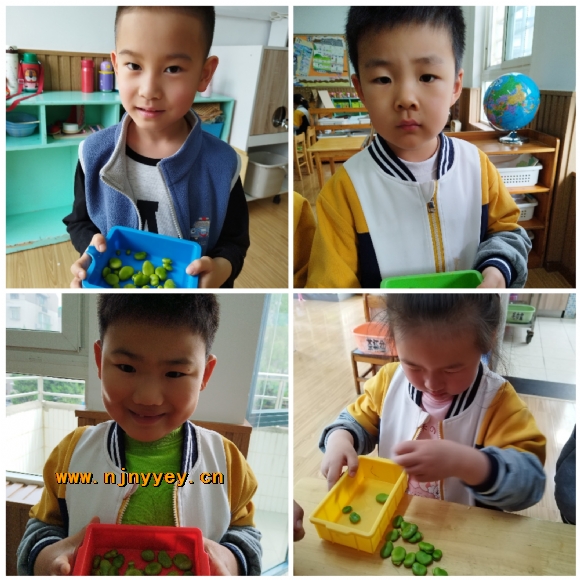 附件：10.jpg